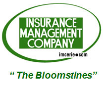 Imc circle logo with bloomstines in color 2 small